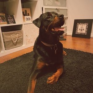 Meet your Posher, Val